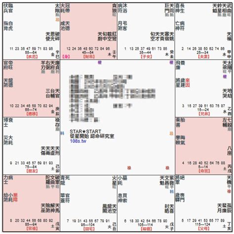 廉貞天府坐命|紫微命盤解析——天府星、廉貞星在辰、戌宮